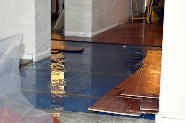 Professional Burst Pipe Cleanup technician working in Cisco, UT