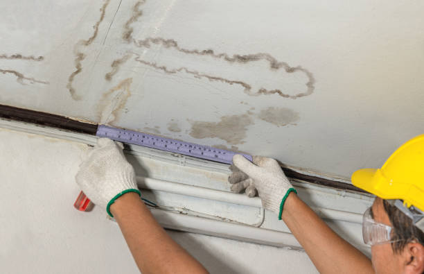Reliable Burst Pipe Cleanup contractor in Cisco, UT by Water Damage Irwin